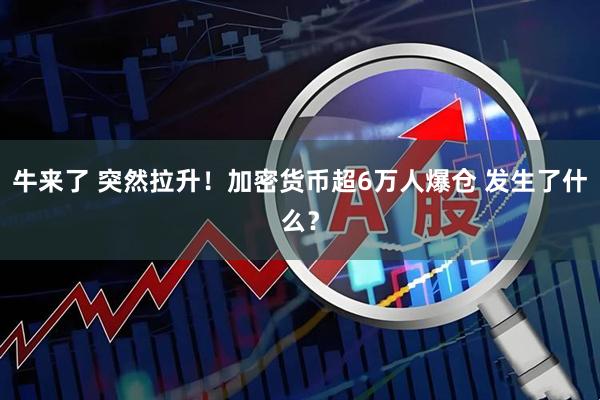 牛来了 突然拉升!加密货币超6万人爆仓 发生了什么?