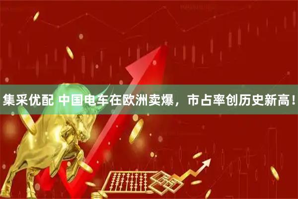 集采优配 中国电车在欧洲卖爆，市占率创历史新高！